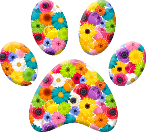 Muddy Mutts Registration